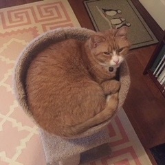 Fundraising Page: Frederick Waite